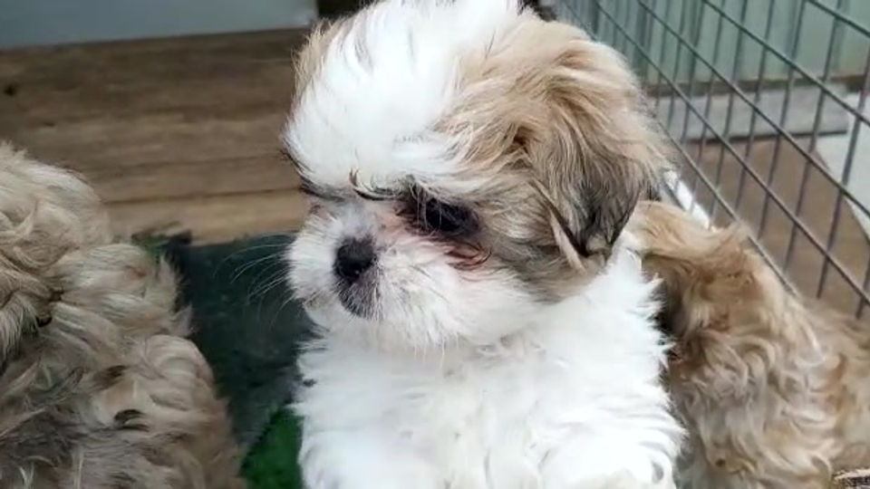 .